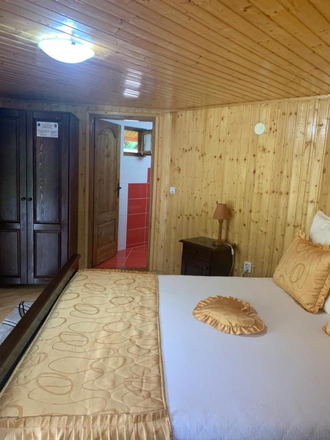 Hotel Podul Cetatii Sebesel Esterno foto