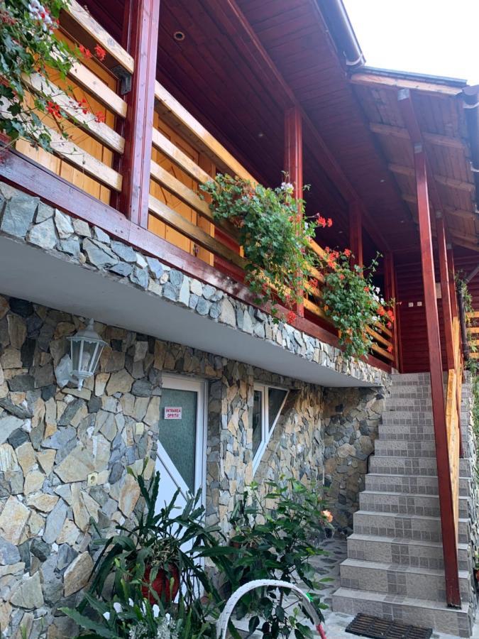 Hotel Podul Cetatii Sebesel Esterno foto